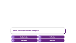 Affichage_Question_copieOverlay_total